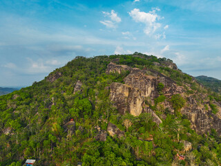 A mountain covered in trees and a clear blue sky