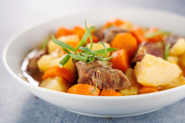beef stew with broth, carrot and potato