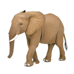 Obraz premium African elephant walking isolated transparent background