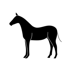 horse animal icon solid vector design in trendy style
