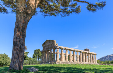 Temple of Athena at Paestum in Italy.