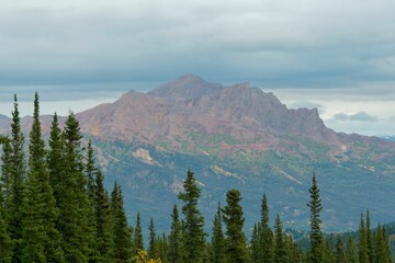 Mountain range with evergreen trees under cloudy sky.
