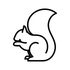 squirrel animal icon line vector design in trendy style