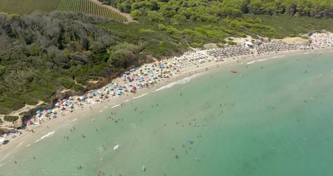Aerial view of Baia dei Turchi beach in the province of Lecce, Salento, Puglia, Italy. It is a bay within a nature reserve with a pine forest. There are many tourists on vacation with umbrellas.