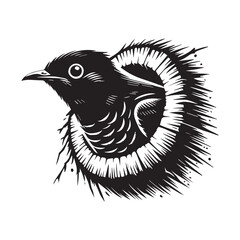 Common cuckoo silhouette Design - Common cuckoo vector illustration in black and white