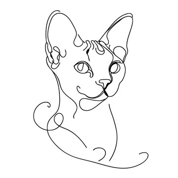 Devon Rex cat in a minimalist style with elegant features on a transparent background