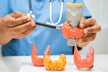 Hyperthyroidism, Overactive Thyroid, Thyroid Lymphoma, Asian doctor with thyroid gland human...