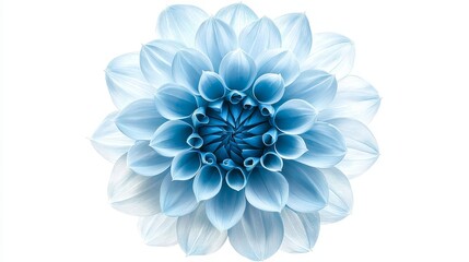 Vivid blue Dahlia flower, fully bloomed with intricate petals, isolated on a crisp white background, each petal detailed and sharp, perfect symmetry