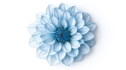 Fototapeta premium Fully bloomed blue Dahlia with a perfect radial petal arrangement, isolated on a clean white background, soft shadows adding depth to the petals