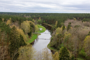 Obraz premium River flowing through lush green forest, captured from a high angle with cloudy skies in a peaceful countryside environment, horizontal