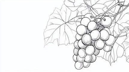 Fototapeta premium Minimalistic Line Art of Grapes and Leaves