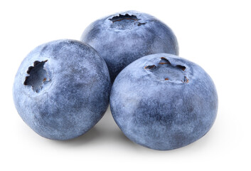 blueberries isolated on white background. clipping path