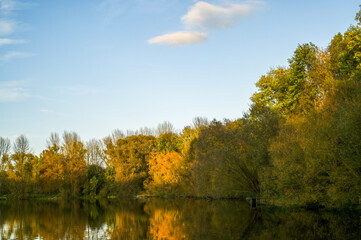 Fototapeta premium autumn landscape with trees and sky