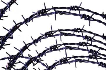 Barbed Fencing Wire different type of shapes png