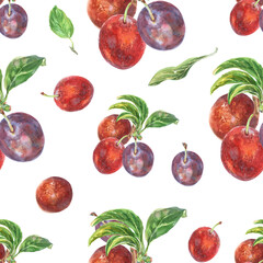 Pattern seamless of plums branches with leaves. Ripe berries on bunches of fruit tree hand drawn in watercolor. Fruits are painted very brightly red, burgundy, purple and green colors. This pattern