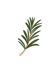  a rosemary branch in a minimalist style, perfect for culinary projects and product packaging