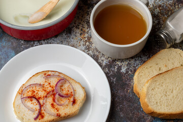 Hungarian traditional food - bread with lard