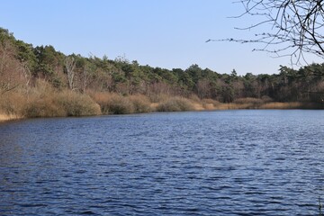 Blick auf das Finkenmoor im Wernerwald bei Cuxhaven an der Nordsee	