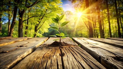 A resilient sprout emerges from a weathered wooden surface, bathed in the warm glow of a sun-drenched forest