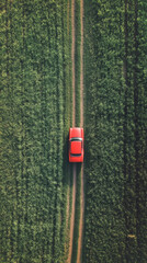 Obraz premium road, zeichen, auto, traffic, gras, wasser, strasse, ausserhalb, natur, asphalt, anreisen, geschwindigkeit, parken, garden, feld, park