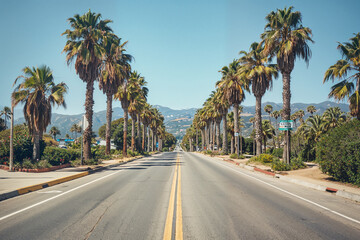 Sunny palm-lined street with scenic mountain view. Generative AI image