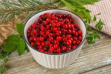 Natural organic wild forwst lingonberry