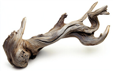 Fototapeta premium A wooden branch