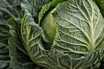 A close-up view of a green vegetable, savoy cabbage, with intricate vein patterns