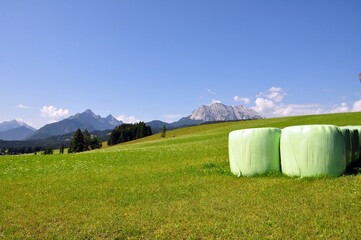 Buckelwiesen bei Mittenwald