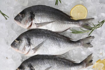 Sea food. Fresh raw fish, lemons and rosemary on ice cubes, flat lay