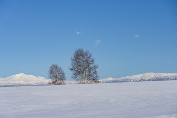 北海道　冬の美瑛の雪景色