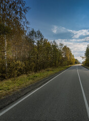 A road with trees on either side and a clear blue sky
