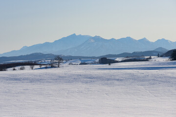 北海道　冬の美瑛の雪景色