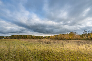 Fototapeta premium A field of grass with a cloudy sky in the background