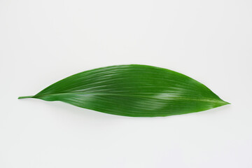 バランの葉、ハランの葉、葉ラン、葉蘭の葉