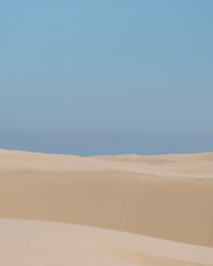 sand dunes in the desert
