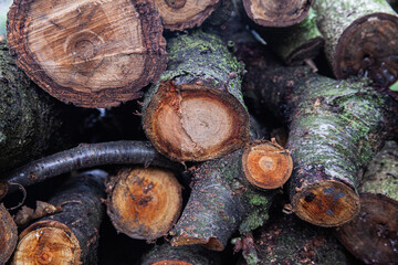 stack of firewood
