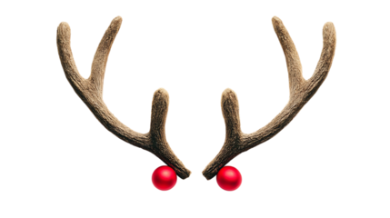 A pair of festive reindeer