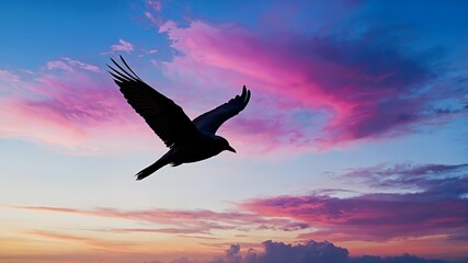 Fototapeta premium Bird flying in colorful sky during sunset, ideal for nature and freedom-themed designs