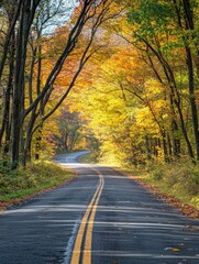 Obraz premium A road lined with trees in full autumn colors, capturing the beauty of nature's display during the fall. The leaves on both sides have turned into vibrant , generative ai