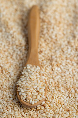 white sesame seeds for use in cooking