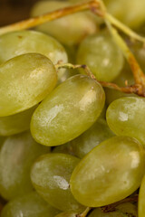 a large number of ripe green grapes are on the table
