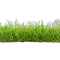 Fototapeta premium Lush green grass border with transparent background nature photography landscape design website design