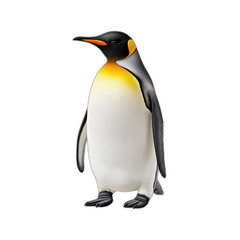 Fototapeta premium King penguin illustration transparent background antarctic wildlife bird