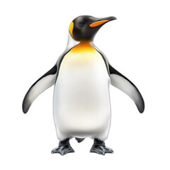 Fototapeta premium Emperor penguin isolated transparent background wildlife bird animal antarctic nature