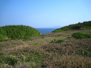 Naklejka premium 冬の沖縄 残波岬公園