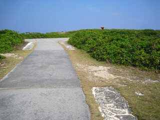 冬の沖縄　残波岬公園(西ノ神之屋)