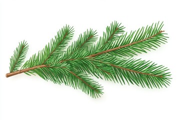 Vibrant green pine branch isolated on white background