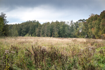 A forest clearing with a hunting lodge on its edge.
