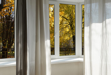 View from the window, yellow trees, landscape with forest.